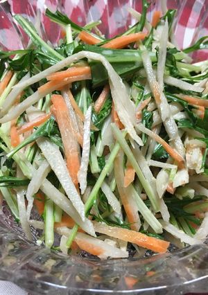 ごぼうと水菜のシャキシャキサラダ-レシピのメイン写真
