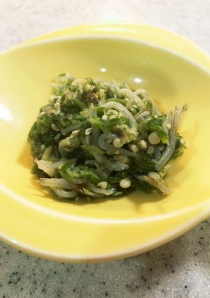 幼児食もおつまみにも。オクラとしらす和え-レシピのメイン写真