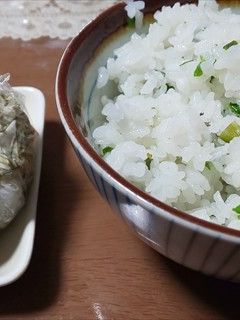 コシアブラなど3種の山菜の菜飯(^^)-レシピのメイン写真