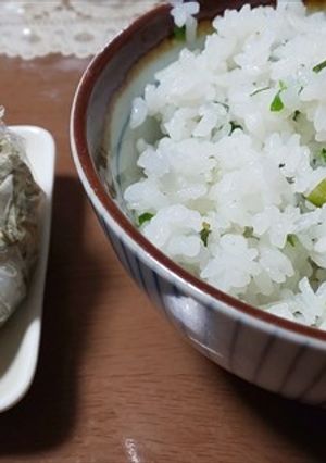 コシアブラなど3種の山菜の菜飯（＾＾）-レシピのメイン写真