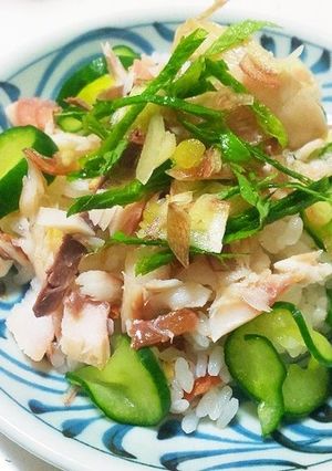 アジの干物で簡単チラシ寿司-レシピのメイン写真