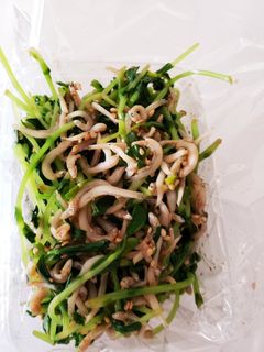 豆苗とごまのあえもの-レシピのメイン写真