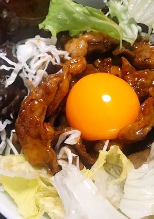 焼肉サラダ うどん-レシピのメイン写真