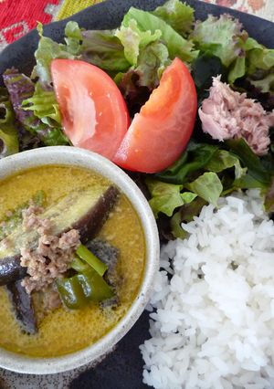 なすとピーマンとひき肉のグリーンカレー♫-レシピのメイン写真