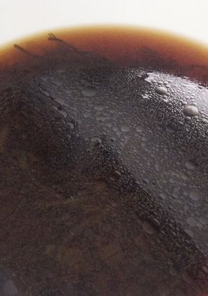 即席！のりの佃煮スープ-レシピのメイン写真
