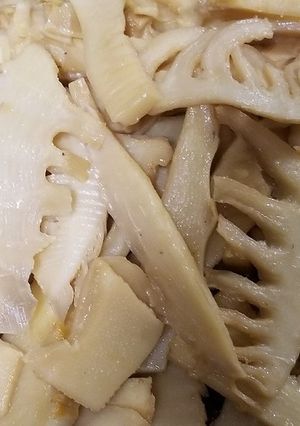 筍のメンマ-レシピのメイン写真