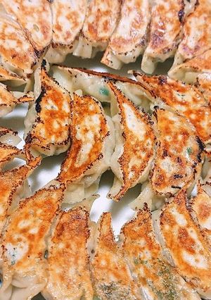 自家製餃子-レシピのメイン写真