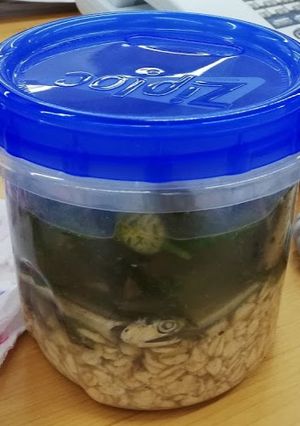 超最短時間で最大栄養を。水槽-レシピのメイン写真