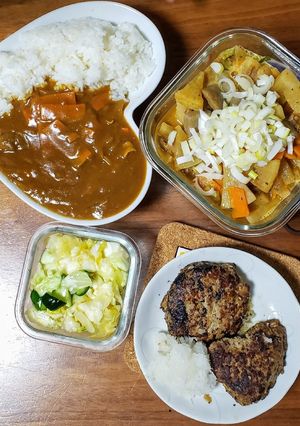 肉野菜炒めのリメイクカレー-レシピのメイン写真