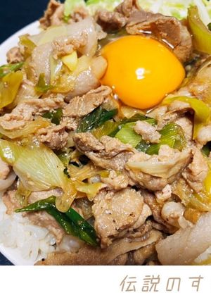 伝説のすた丼-レシピのメイン写真