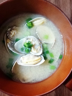 あさりのお味噌汁*･-レシピのメイン写真