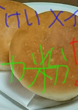 捏ねなくっていいパン中力粉バージョン-レシピのメイン写真