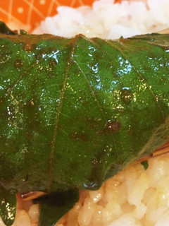 やみつき大葉のゴマ醤油漬け-レシピのメイン写真