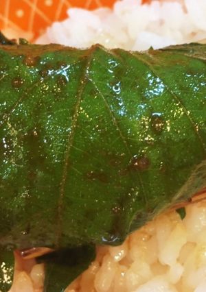 やみつき大葉のゴマ醤油漬け-レシピのメイン写真