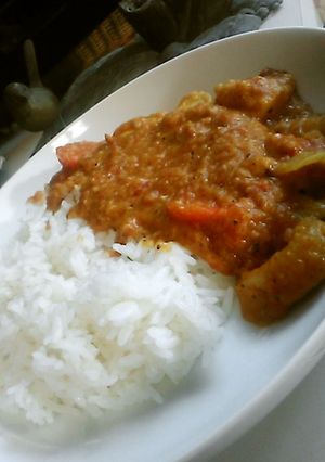 DASH村のカレー・私流に作りました。-レシピのメイン写真