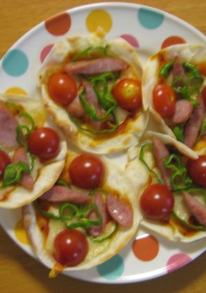 餃子の皮でピザ-レシピのメイン写真