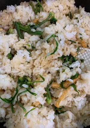 こしあぶら（灯台の芽）の混ぜご飯-レシピのメイン写真