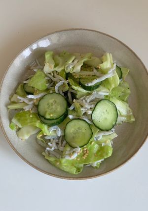 しらす入りやみつきキャベツ-レシピのメイン写真