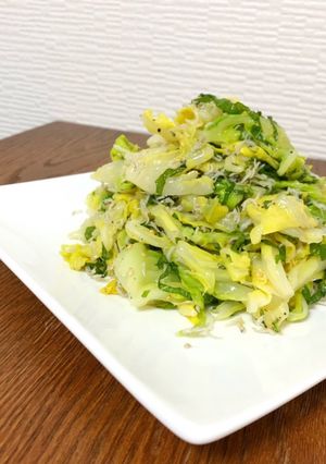 春キャベツとじゃこのサラダ-レシピのメイン写真