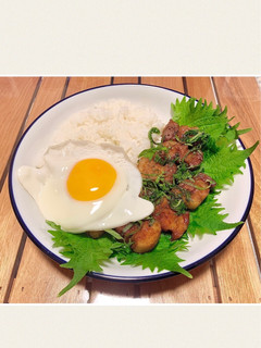 豚肉の角煮丼-レシピのメイン写真