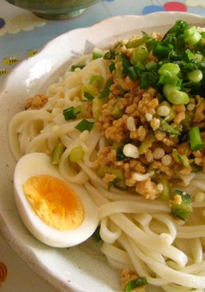 ヒンヤリ~肉そぼろうどん!-レシピのメイン写真