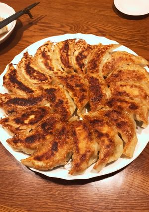 手作り餃子-レシピのメイン写真