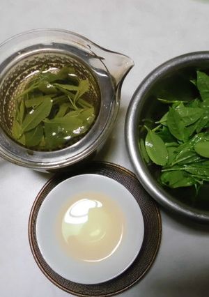 生の葉っぱで淹れたお茶-レシピのメイン写真