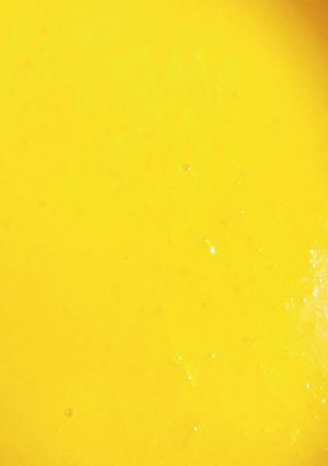 かぼちゃのスープ＊-レシピのメイン写真