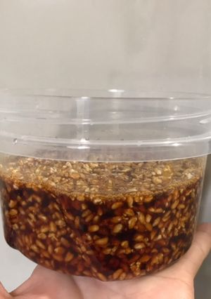 ５分＋１週間→醤油麹☆-レシピのメイン写真