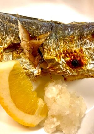 アジの塩焼き-レシピのメイン写真