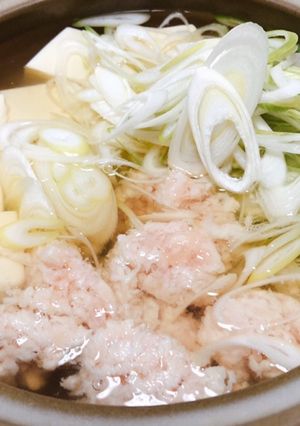 軟骨入りつみれと長ネギのあっさりお鍋-レシピのメイン写真