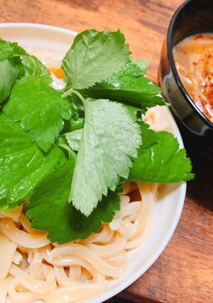 自宅で手打ちうどん〜きのこ野菜つけ汁〜-レシピのメイン写真