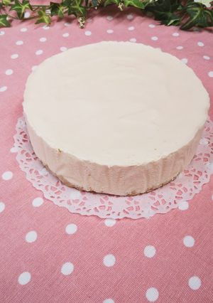 簡単手作りバニラアイスケーキ土台-レシピのメイン写真