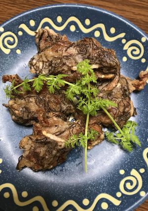 沖縄もずくと紅生姜と豚肉のかき揚げ風-レシピのメイン写真