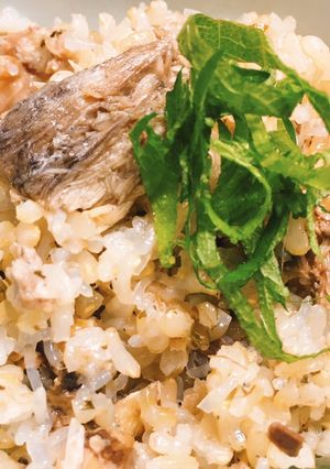 鯖と大葉の炊き込ご飯カロリーオフver.-レシピのメイン写真