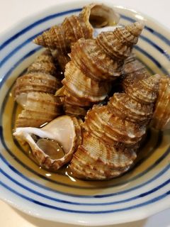 灯台つぶ貝煮付け-レシピのメイン写真