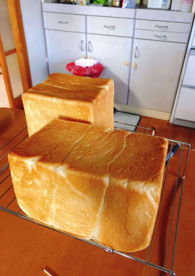 無糖中種70%で作る生食パン-レシピのメイン写真