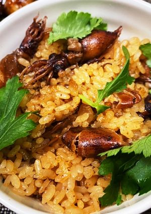 ホタルイカ飯-レシピのメイン写真
