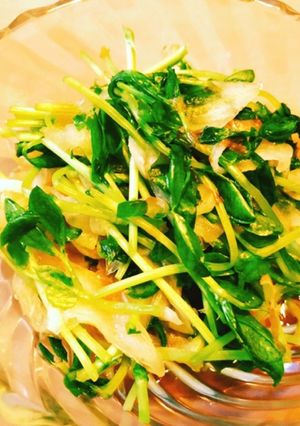 レンジで！豆苗と新玉ねぎの梅おかかサラダ-レシピのメイン写真