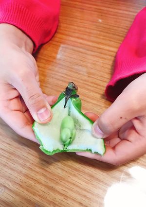 【子どもと作ろう♪】空豆の皮むき-レシピのメイン写真