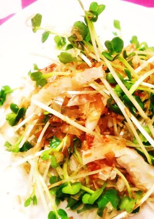 カイワレ大根のサッパリ簡単サラダ-レシピのメイン写真