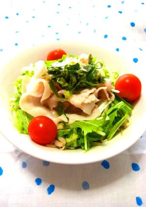 エコ葱タレでしゃぶしゃぶ丼-レシピのメイン写真