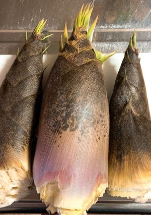 【超簡単！】米の研ぎ汁でたけのこの下処理-レシピのメイン写真