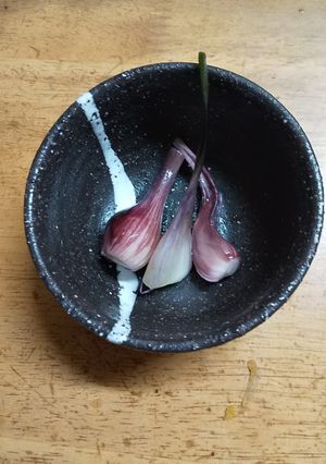 アサツキの塩漬け-レシピのメイン写真