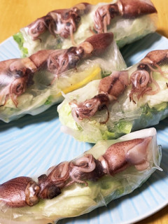 ホタルイカの生春巻き-レシピのメイン写真