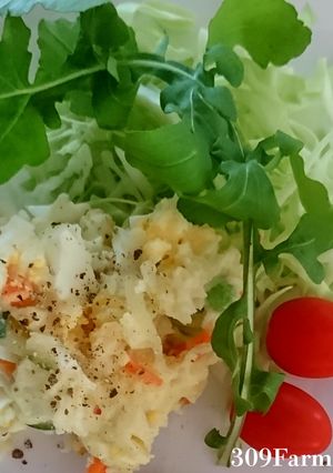 極上のクリーミーポテトサラダ-レシピのメイン写真