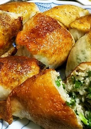 ジューシー♪鶏皮餃子-レシピのメイン写真
