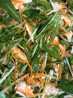 ササミと水菜のニンジンサラダ-レシピのメイン写真