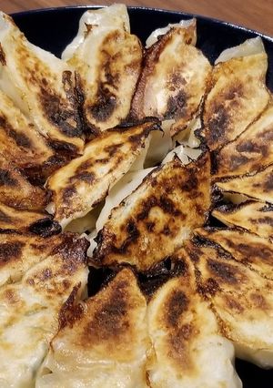 ダイエットでも食べたい超ヘルシー餃子-レシピのメイン写真