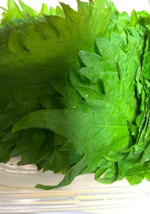 【簡単】紫蘇の醤油漬け-レシピのメイン写真